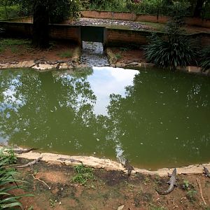 Croc Farm - Crocodile enclosure