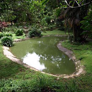 Croc Farm - Crocodile exhibit