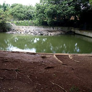 Croc Farm - Crocodile enclosure