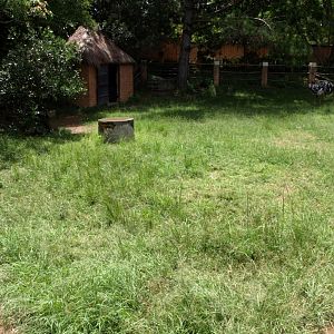 Croc Farm - Ostrich exhibit