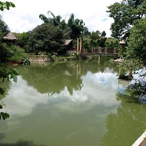 Croc Farm - Crocodile Lake
