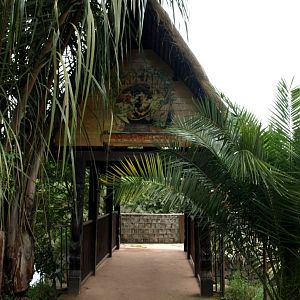 Croc Farm - Crocodile Adventure Walk