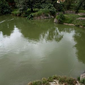 Croc Farm - Crocodile Lake