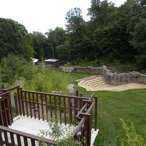 Elephant Trail Progress