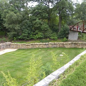 Elephant Trail Progress