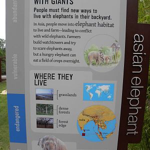 Elephant Trail Progress