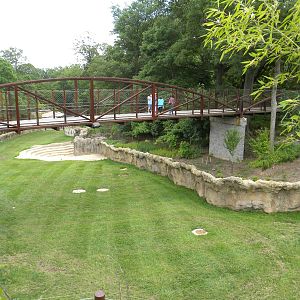 Elephant Trail Progress