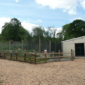 New wolf house and enclosure .