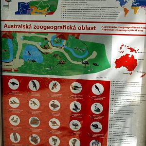 Plzen Zoo - Australian Zone