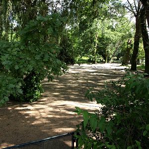 Plzen Zoo - Australian wetlands