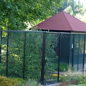 Plzen Zoo - Australian aviary