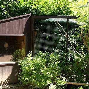 Plzen Zoo - Kookaburra aviary