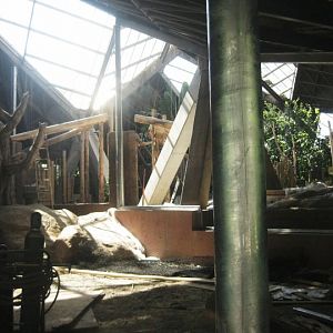 African Rainforest Pavilion Construction