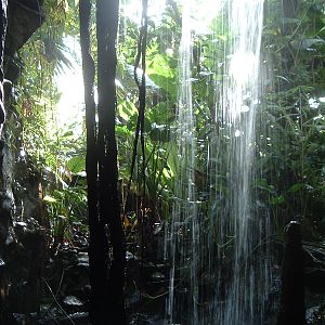 Greenhouses at Artis Zoo Jan 2006