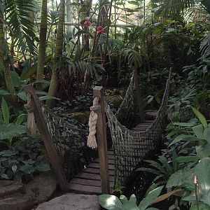 Greenhouses at Artis Zoo Jan 2006