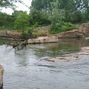 View of Commomn Hippo and Sitatunga enclosure