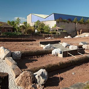 Elephant Paddock - 28/05/2010