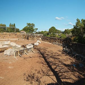 Elephant Paddock - 28/05/2010