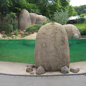 Black-footed Penguin enclosure