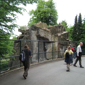 View of Siberian Ibex enclosure