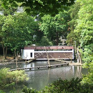 View of Gibbon House