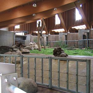 View inside African Elephant House