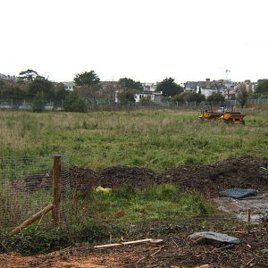 View of the start of work of the African Paddock