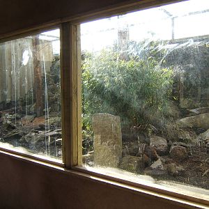 Lemur/Mongoose enclosure under construction