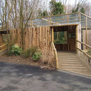 View towards Fishing Cat enclosure