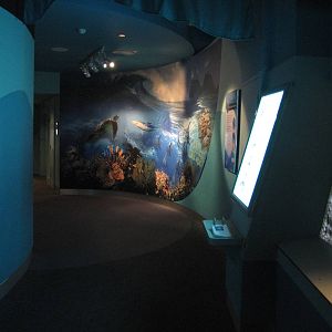 aquarium section