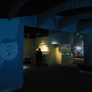 world museum aquarium