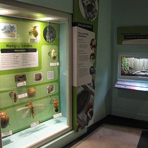 Displays at World Museum Liverpool