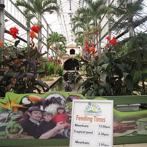 Palms Tropical Oasis