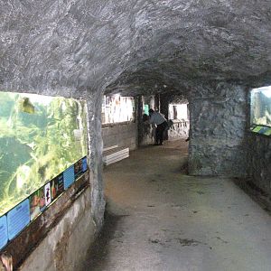 Fish tanks in the Time Zone tunnel