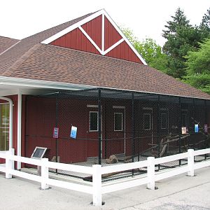 Family Farm - Animal Encounter