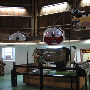 Family Farm - Dairy Complex