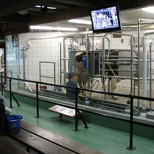 Family Farm - Dairy Complex