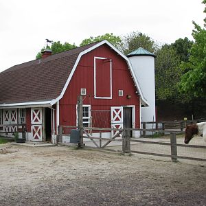 Family Farm - Barnyard