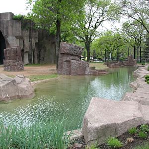 Reticulated Giraffe Exhibit - Outdoor Yard