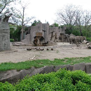 African Elephant Exhibit