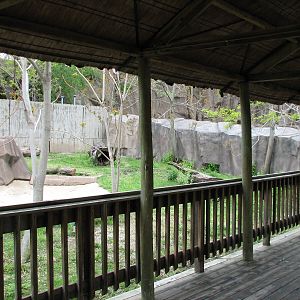 Warthog Exhibit
