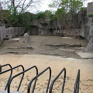Hippopotamus Exhibit