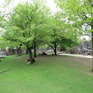 Impala Country Exhibit