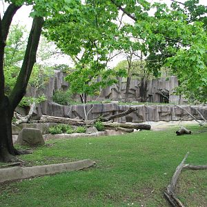 Impala Country Exhibit