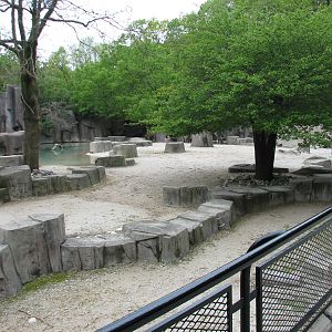 African Waterhole Exhibit