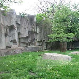 African Lion or Spotted Hyena Exhibit