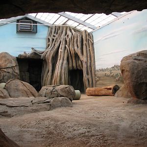 African Lion or Spotted Hyena Exhibit - Bedroom