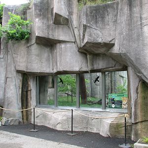 Jaguar Exhibit - Exterior Viewing Window