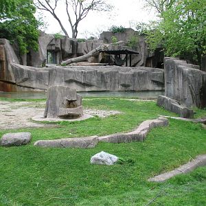 Bactrian Camel Exhibit with Asiatic Black Bear Exhibit in background