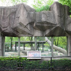 Asiatic Black Bear Exhibit - Exterior Viewing Window